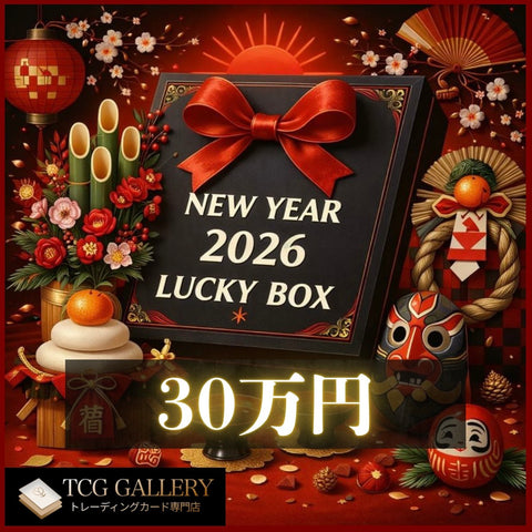 当選者限定購入ページ【30万円】